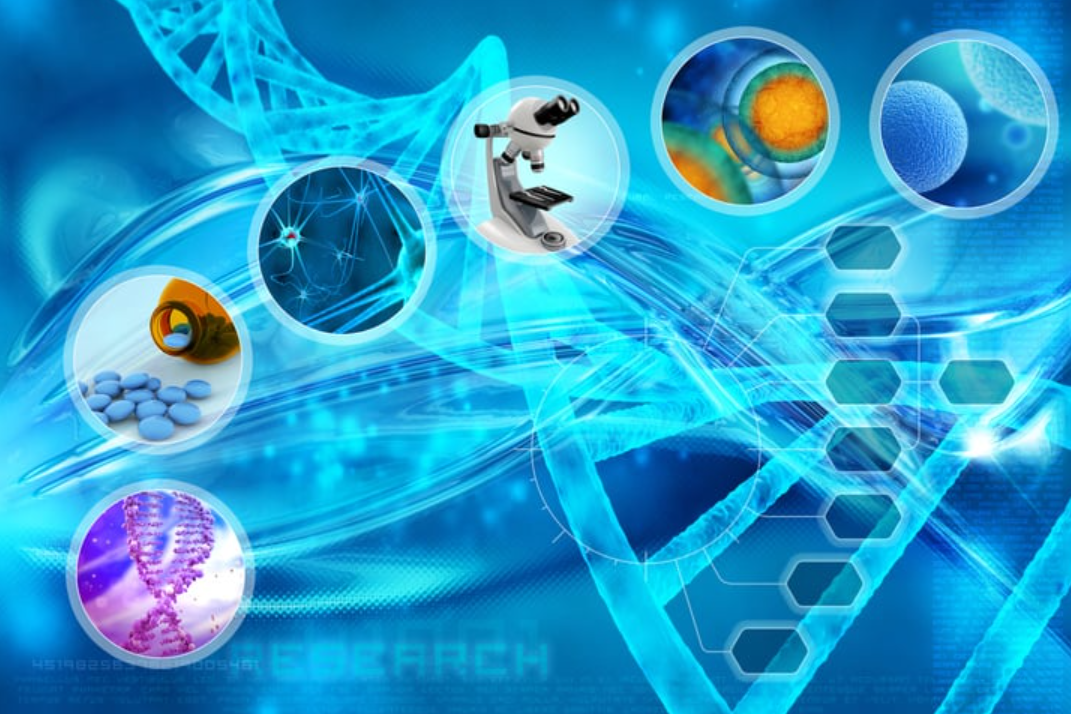 Molecular Diagnostic Techniques